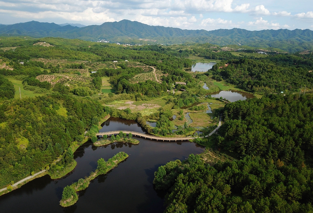 福建省龍巖市長(zhǎng)汀縣的長(zhǎng)汀汀江國家濕地公園景色（2020年7月28日攝，無人機(jī)照片）。新華社記者 魏培全 攝