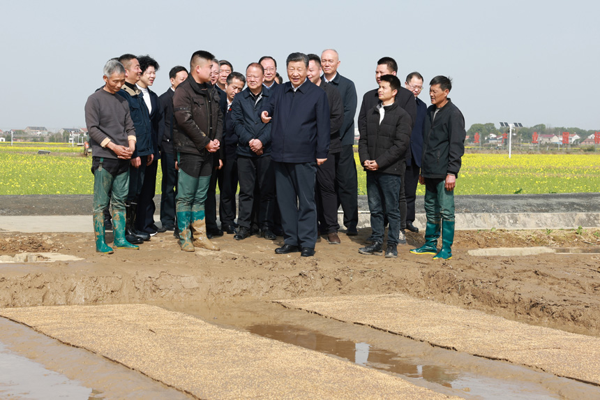 2024年3月18日至21日，中共中央總書(shū)記、國(guó)家主席、中央軍委主席習(xí)近平在湖南考察。這是19日下午，習(xí)近平在常德市鼎城區(qū)謝家鋪鎮(zhèn)港中坪村走進(jìn)田間，察看秧苗培育和春耕備耕進(jìn)展。新華社記者 王曄 攝